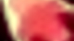 Honeysun Hentai Game Walkthrough With Deepthroat Creampie Action