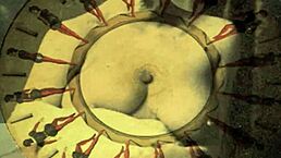 vintage pornostalgia, a retro cartoon journey through hairy classics