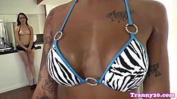 SHEMALEIDOLZ 60: Ebony Shemale In Lingerie Gets ANAL FUCKED And CUMSHOT