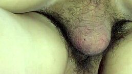 Chinese asian experience very comfortable