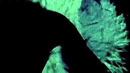 Vintage threesome heats up with steamy retro hairy action