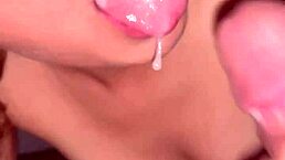 compilation of the best moments from amateur videos