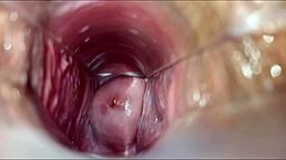 Anime Girl Achieves Vaginal Orgasm