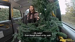 Petite Asian Lia Lin's hot Christmas POV action