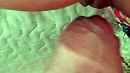 yuri gaucho couple impregnates the maid passionately