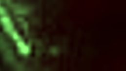 wife cheats with mature amateurs for homemade blowjob