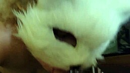 She says, 'Suck my cock quick in the closet,' then bends over for doggy creampie