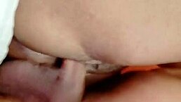 Sundaydogood614 Update 102 Vid 20240312 215429 Mar 12 2024