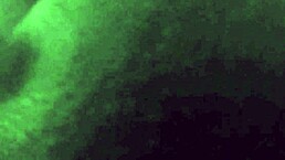 Horny Old Man Sucks Black Cock!