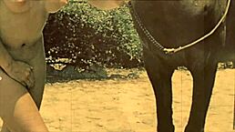 Dark Lantern Unveils Retro Beauty and Beast in Hairy Tale