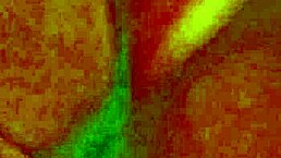 angelg and kuzz halloween special 😈