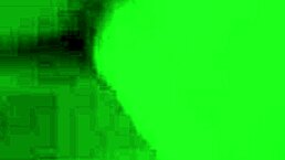 are you a fool for giving me viagra? spread your legs