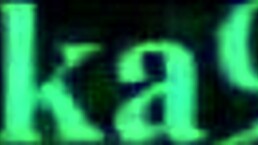 Jeanne D'Arc and Tamamo no Mae adventure in Fate Grand Order