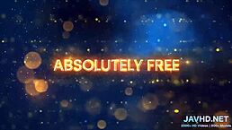 Japanese Beauties in Lingerie Show Off Stockings and Legs Vol 23