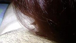 i wake up sucking good cock