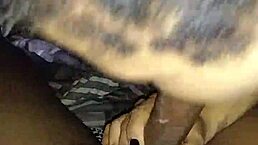 Redbone Feels Intense Pleasure Swallowing Nut