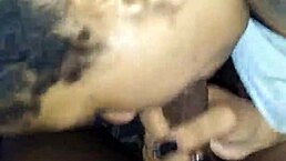 Redbone Feels Intense Pleasure Swallowing Nut