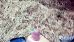 i have very risky sex in the forest with cute sea views in 4k