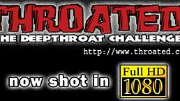 gal eagerly sucks on a massive hard cock