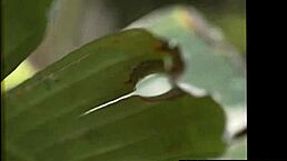 Gay celebrities bang hard on reality show ranch