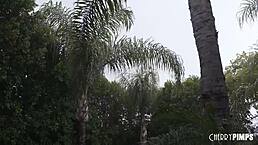 搬家日变硬核肛交猛干Katrina Colt