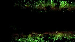 Vintage Erotic Art in Wild Hentai Action, Wow!