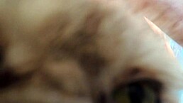 Ouch! Tanned milf screams during painful anal with deep creampie on bar stool!