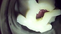 悠闲玩飞机杯自慰，最后射得一塌糊涂内射