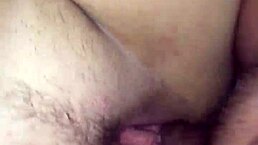 enjoying fun time in bedroom with shaved bbw 😊