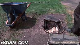 Extreme sadomasochism with wild rabbit toy action