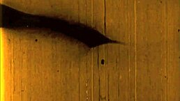 复古色情画作带怀旧感官魅力