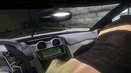 First person view in GTA 5 with hooker encounter