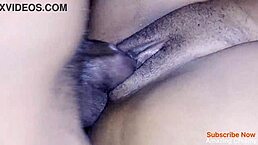 one trending video in the series