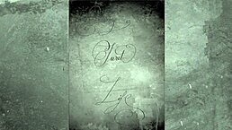 dark lantern entertainment unveils retro beauty and beast tale