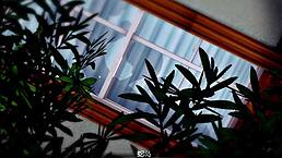 Sword Art Online NTR finale unfolds with intense action.