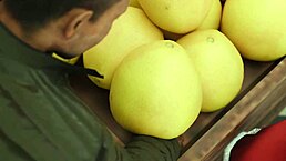 Koharu, wanna get bent over for 3D hentai doggystyle action tonight?