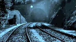 vintage erotic cartoon illustration for fans