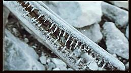 Farm Sex Video from Oklahoma Ranch