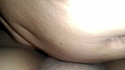 The Traveler Hired The Wrong Tour Guide