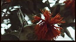 Farm Sex Video from Oklahoma Ranch