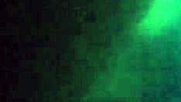 d there he go in this gay story