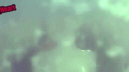 rin tohsaka hot shorts compilation for anime fans