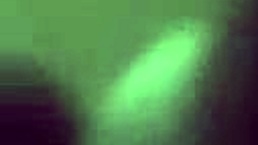 i'm getting my ebony ass fucked hard by a black guy