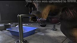 马匹合集与操机