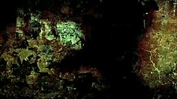 vintage erotic drawings come to life in a steamy retro comic tale of seduction