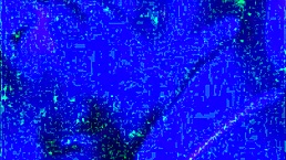 Leaked intimate video of seven different women in the same clip