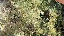 Stepmom Seduces Stepson with Panties Off on Beach Hike