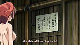 Yo, ever seen this wild hentai samurai hormone animation with subtitles?