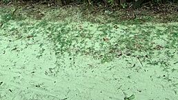 risky street handjob turns wild when redhead catches me jerking off