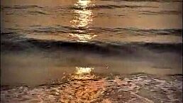 Sexo Publico En La Playa Una Desconocida Me Hace Una Mamada En La Playa